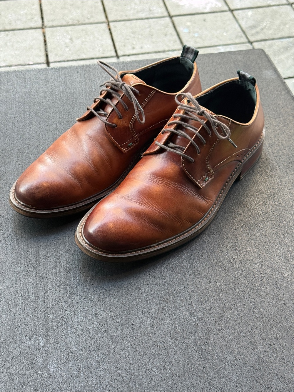 Rodd & Gunn Portland Derby Shoe, men’s 9.5